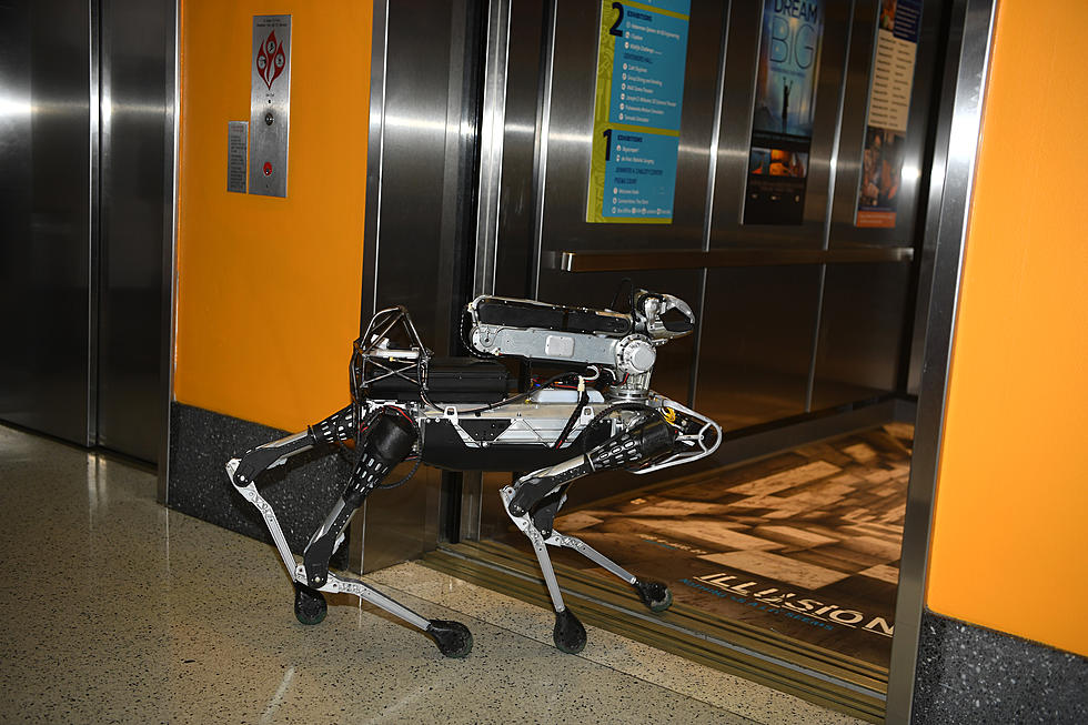 You Can Meet a Real Robotic Dog at DHDC in Amarillo This Week