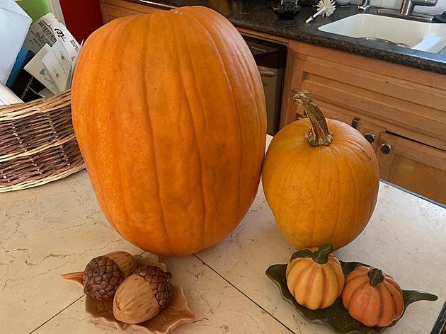 Another Pumpkin Recipe You Need to Try This Season in Amarillo