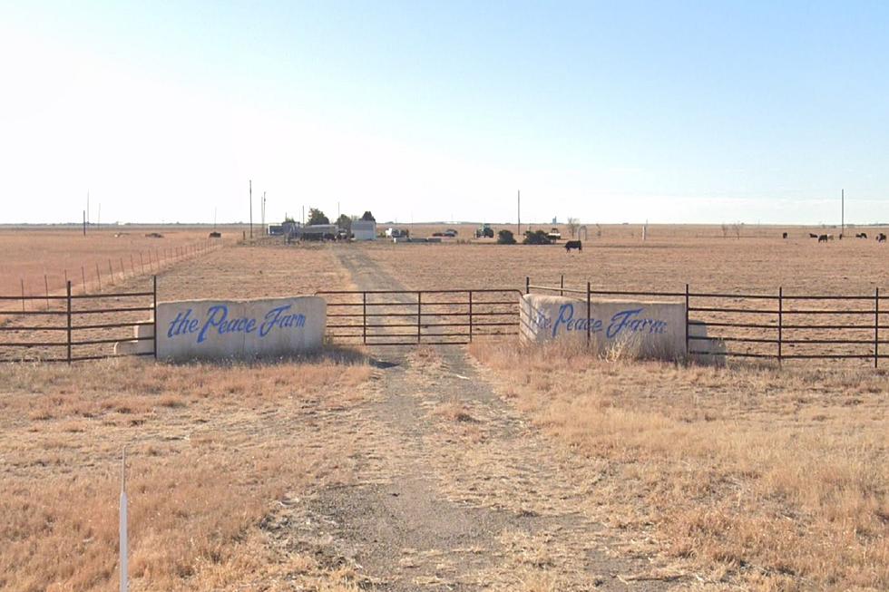 Peace Farm In Amarillo Still Working For World Free Of Nukes