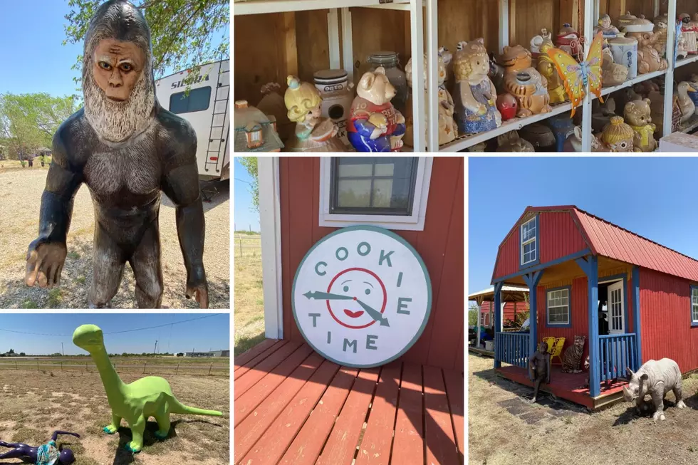Dinosaurs, Jesus, Bigfoot: The Strange, Whimsical Magic of ‘Cookie Time’ in River Road