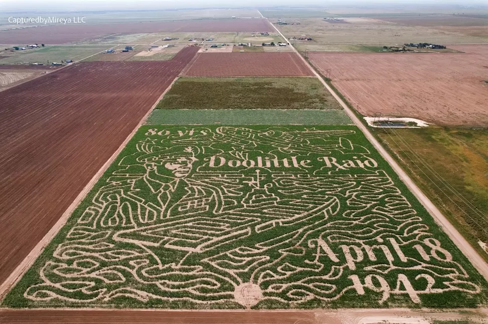 Have You Seen These Photos Of The Gigantic Corn Maze Near Canyon?