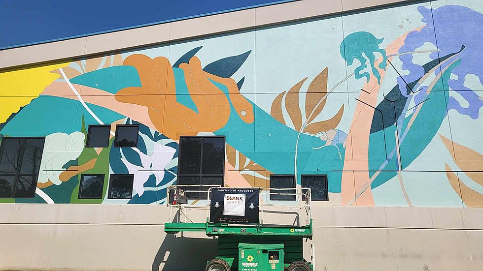 Have You Seen This New Mural Going Up In An Amarillo Park?