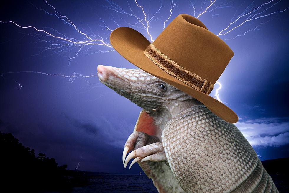The Wild Way Texas Predicts The Weather; With An Armadillo