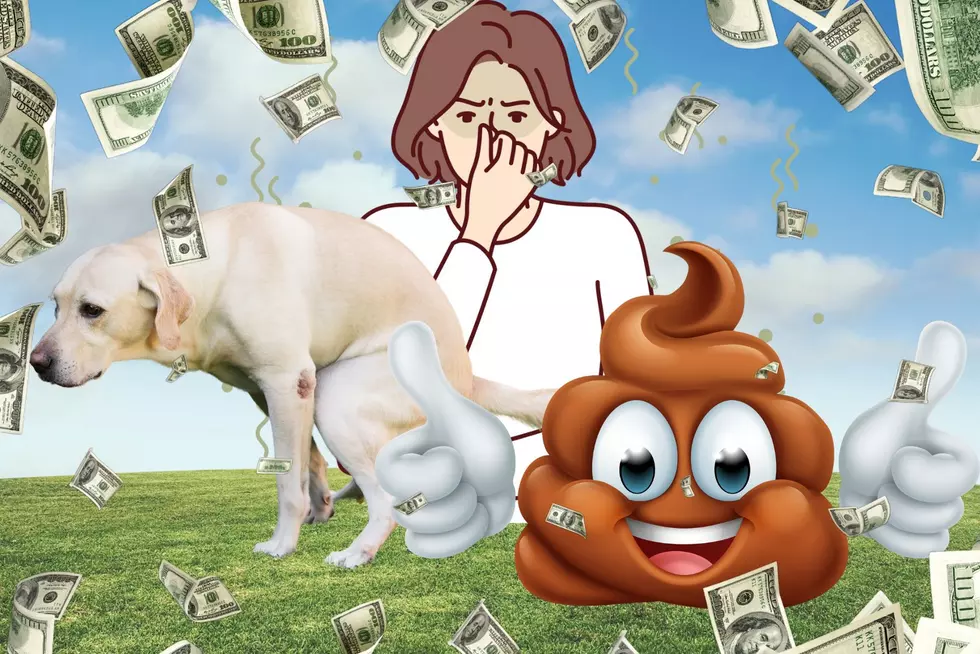 Weirdest Job In Amarillo, Texas? Making Money Scooping Dog Poop.