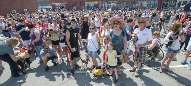 Family Friendly Zone During Lake Charles Mardi Gras Returns