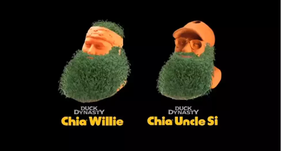 Duck Dynasty Chia Pet Makes Great Christmas Gift [VIDEO]