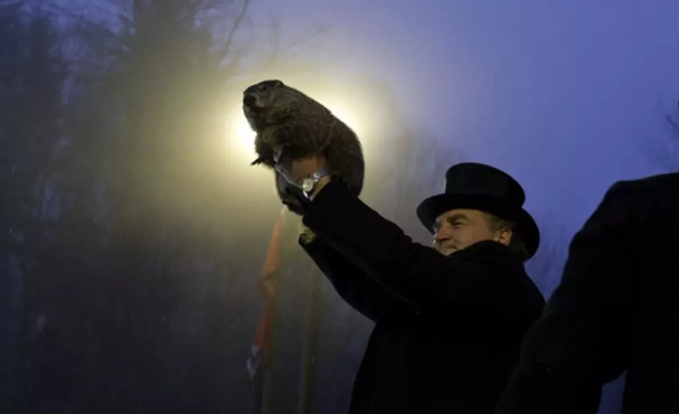 Just How Accurate is Punxsutawney Phil