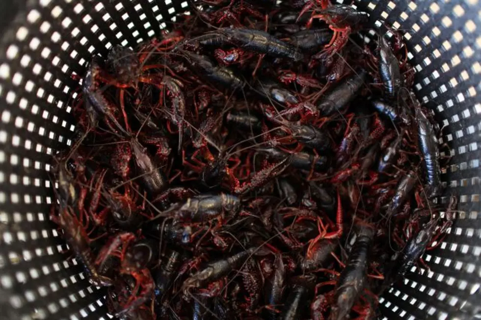 New Research Into Crawfish Boiling Will Blow Your Mind