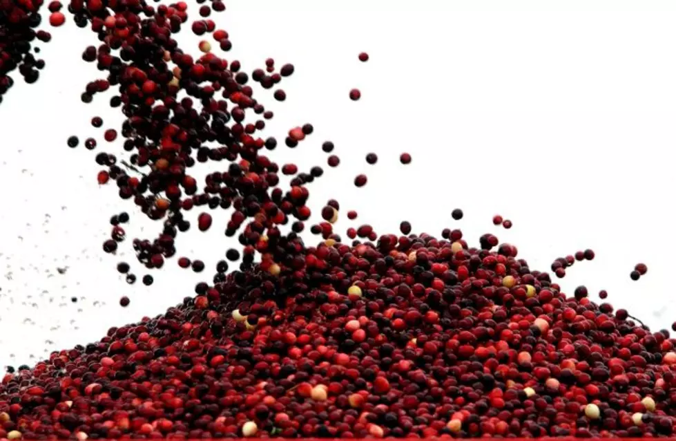 Make Money By Participating In Cranberry Study