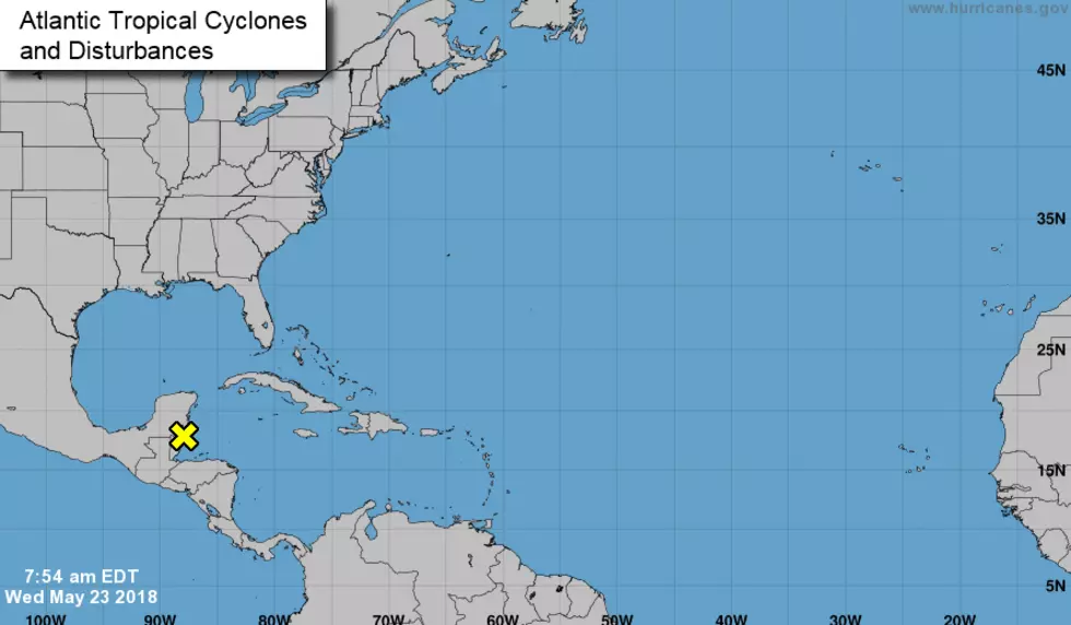 Gulf Tropical Disturbance 5-Day Forecast
