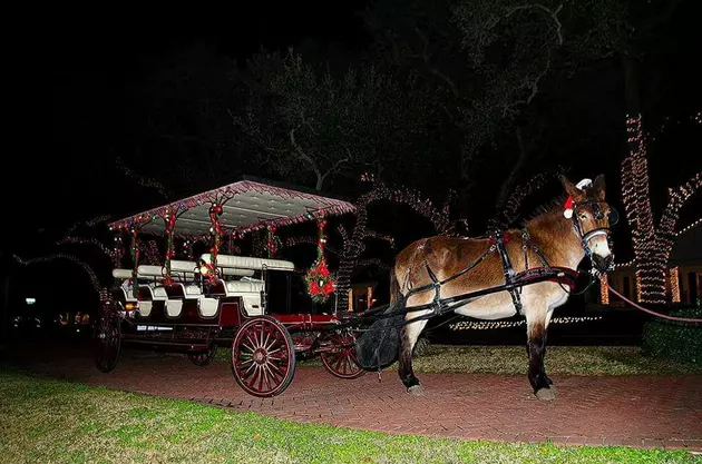 Lake Charles Carriages Christmas Light Ride Tours In Downtown