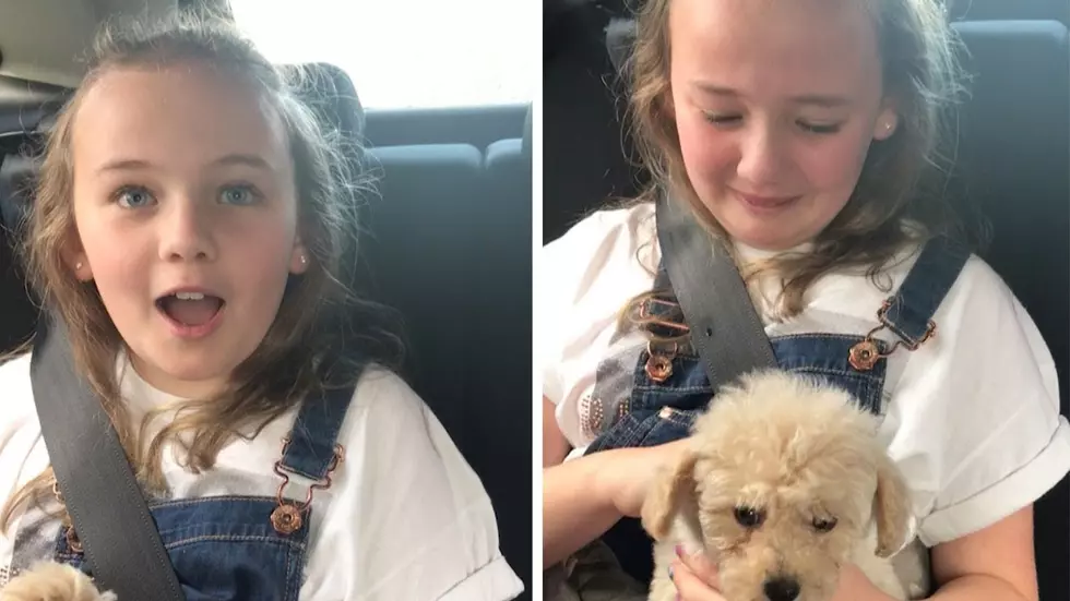A 'Puppy Surprise' Leaves a Girl Speechless