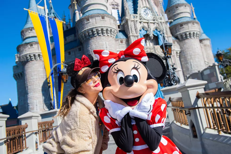 Walt Disney World And Cruise Line Shutting Down
