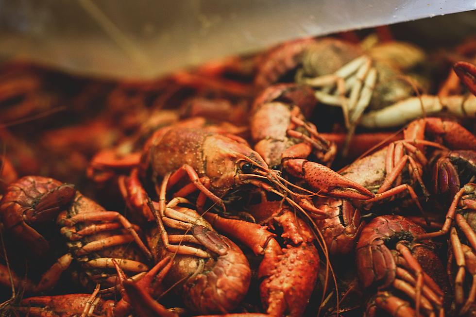 Top 10 Spots In Lake Charles To Kick Off Crawfish Season