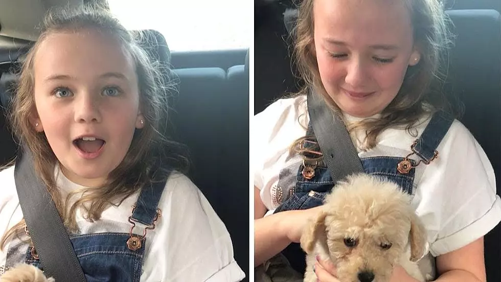 Watch As A ‘Puppy Surprise” Leaves A Young Girl Speechless