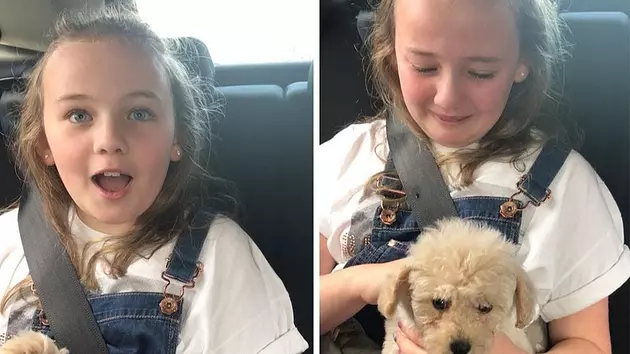 Watch As A &#8216;Puppy Surprise&#8221; Leaves A Young Girl Speechless