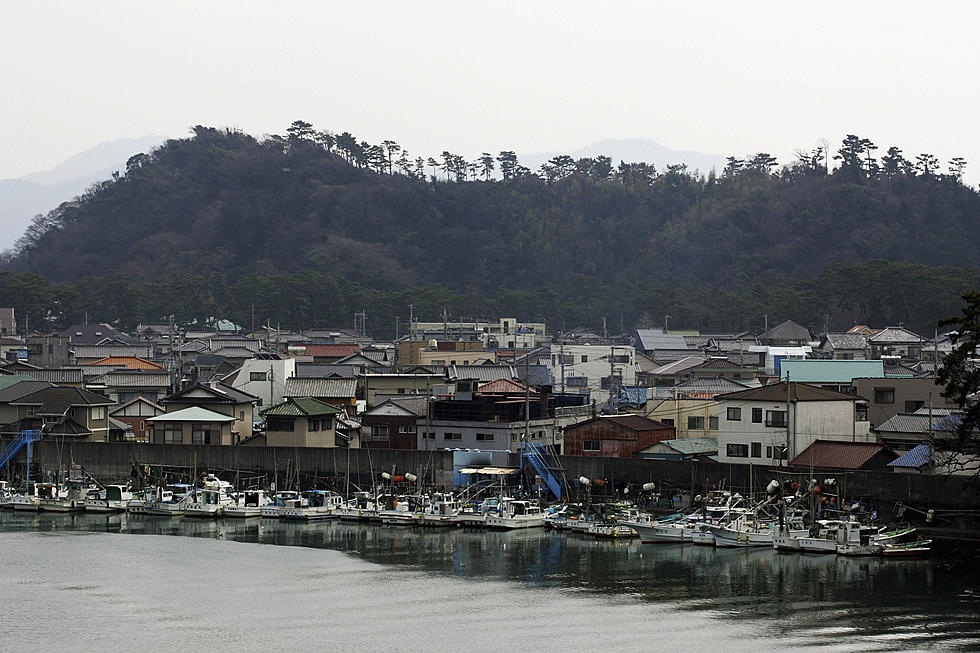 Earthquake and Tsunami Hit Japan