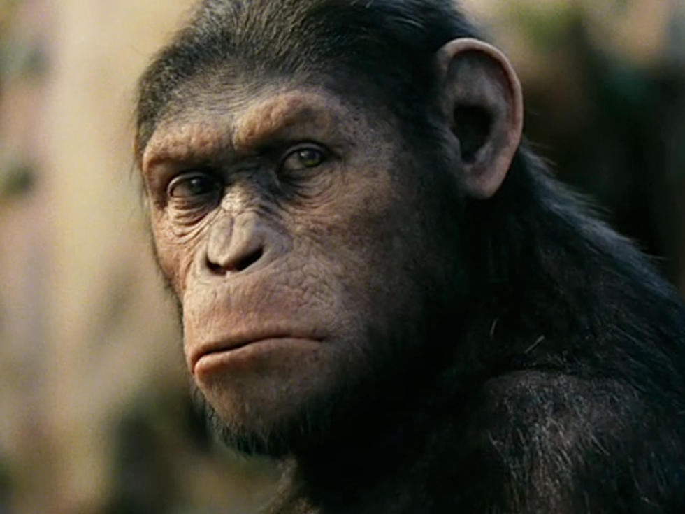 Weekend Box Office: ‘Rise of the Planet of the Apes’ Retains the Top Spot