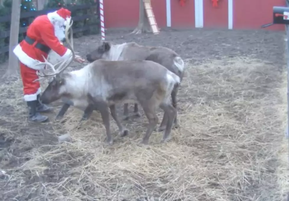 Santa’s Official Live Reindeer Cam [VIDEO]