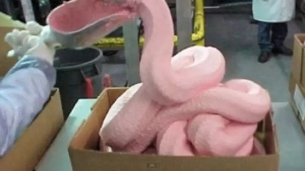 No Pink Slime Could Cost You Money