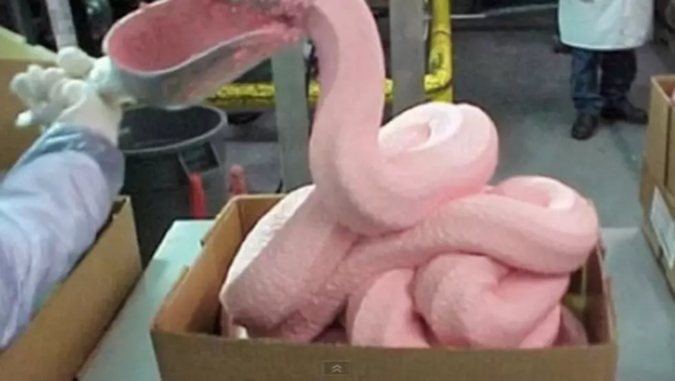 Feds Purchase Millions of Pounds of &#8216;Pink Slime&#8217; For School Lunches