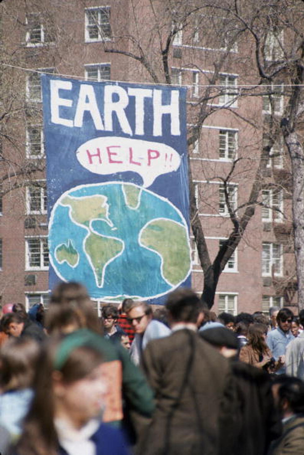 4 Things You Can Do For Earth Day!