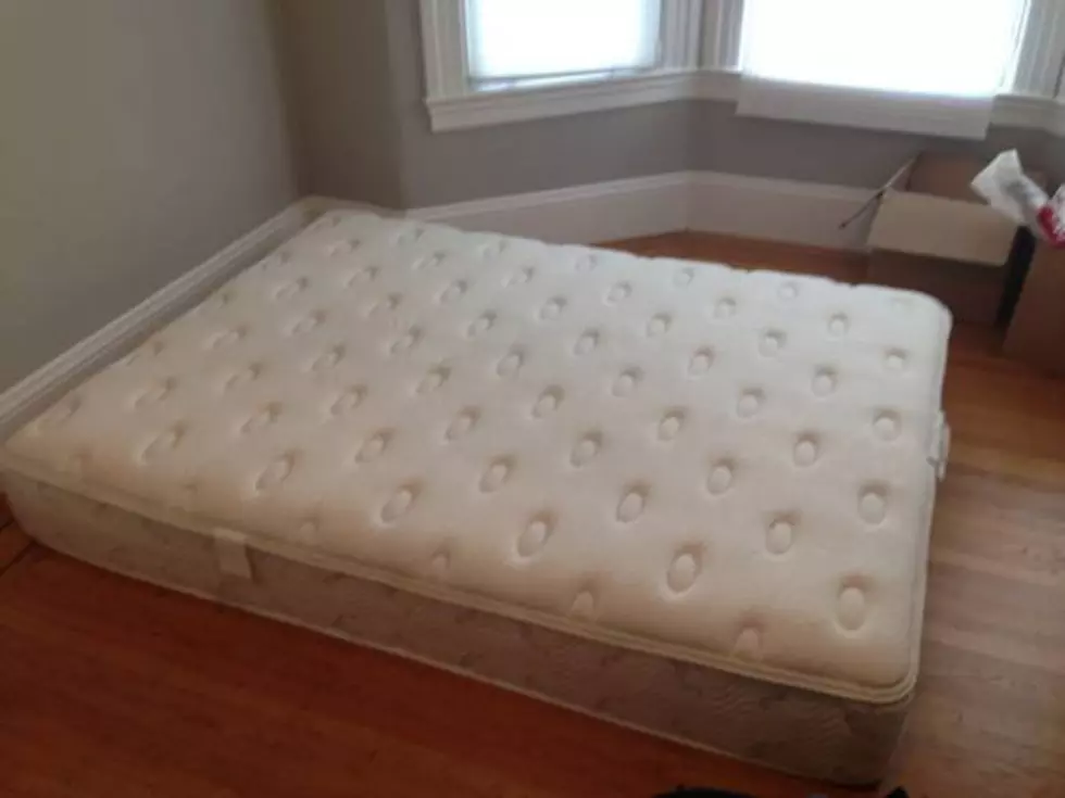 Would you buy this bed?