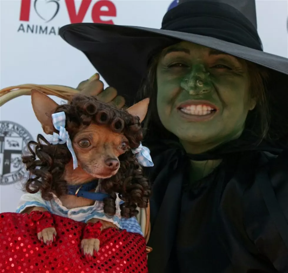 Dress Up Your Pet! Submit A Photo For Joy FM&#8217;s Halloween Pet Costume Contest!