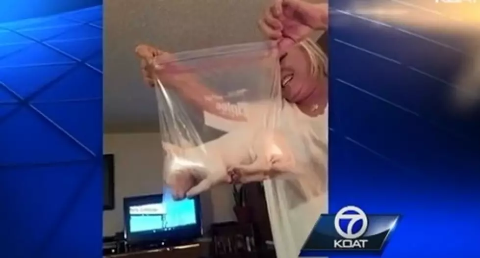 Mother And Son Put Puppy In Ziploc Bag And Post It On Facebook [VIDEO]