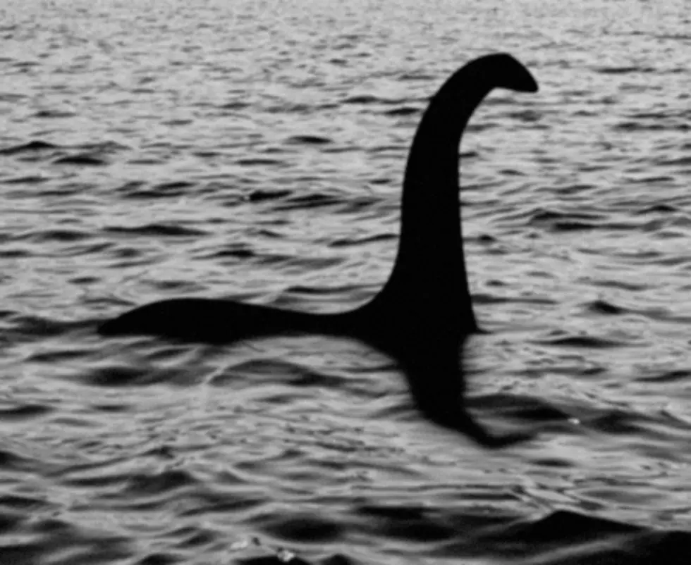 Loch Ness Monster On Apple Maps? You Be The Judge [PHOTO]