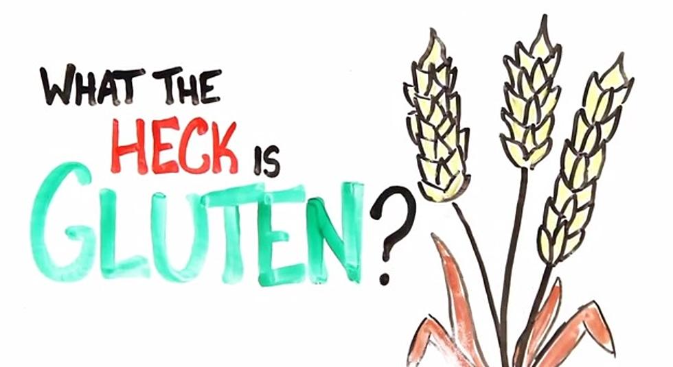 Gluten Free? Watch This [VIDEO]