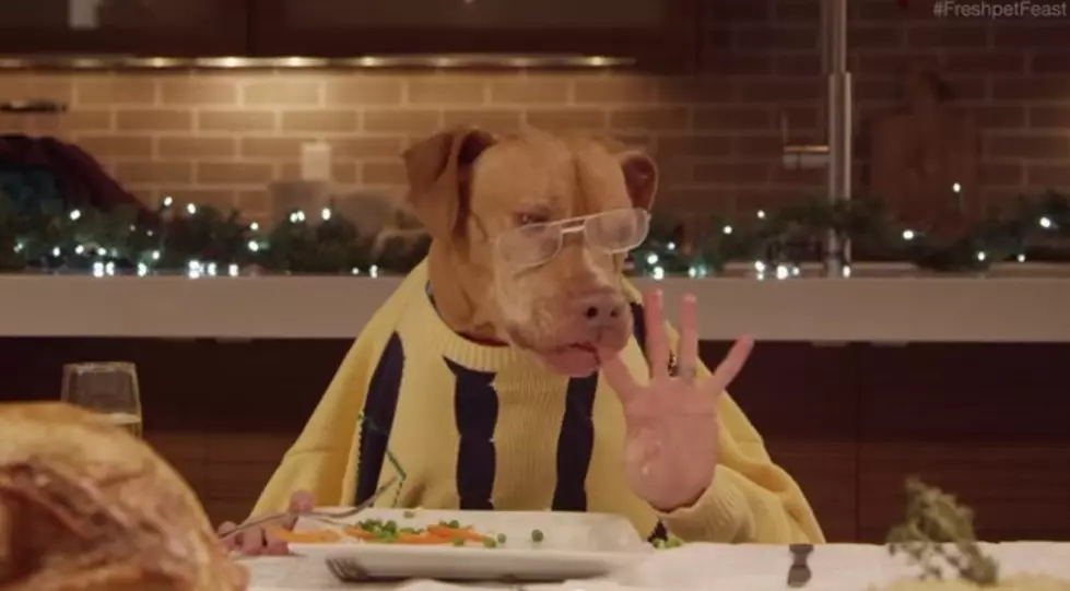 Dogs and Cats Sharing Christmas Dinner &#8212; With Human Hands [VIDEO]