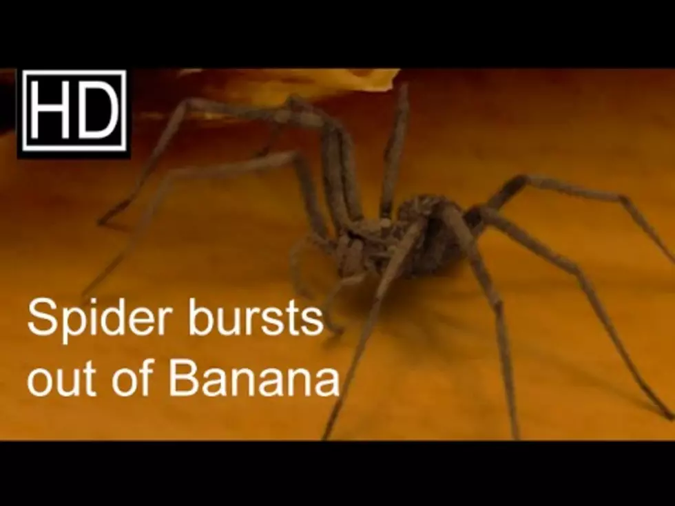 AUGH! Spider in Banana? [VIDEO]