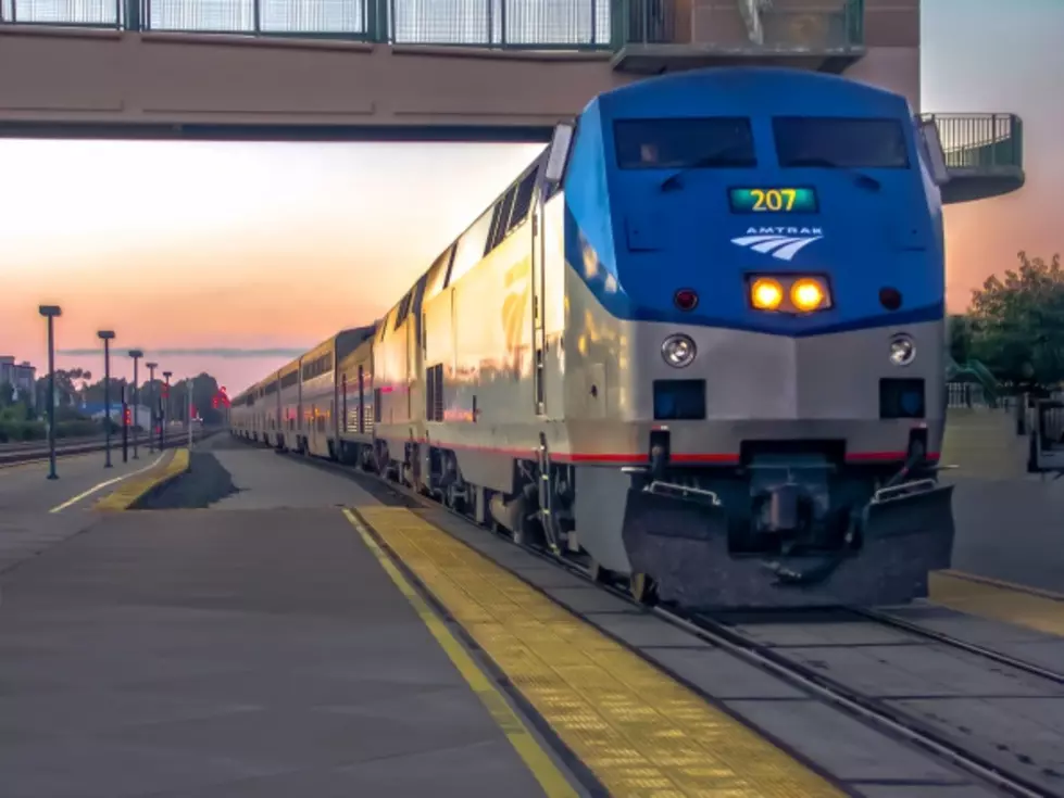 Bomb Sniffing Dog Halts Niagara Falls Bound Amtrak Train [VIDEO]