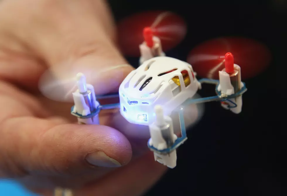 The World's Smallest Drone?