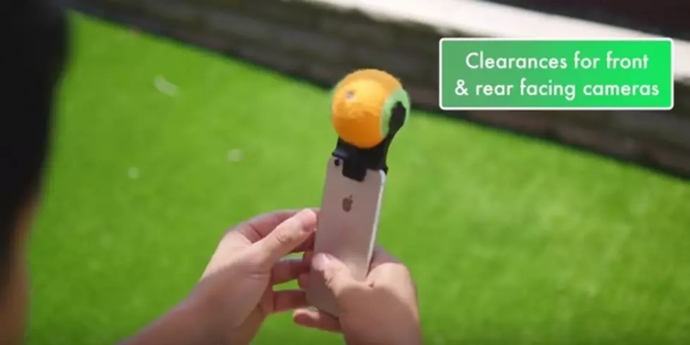 Dog-Selfie Smartphone Attachment May Be Genius [VIDEO]