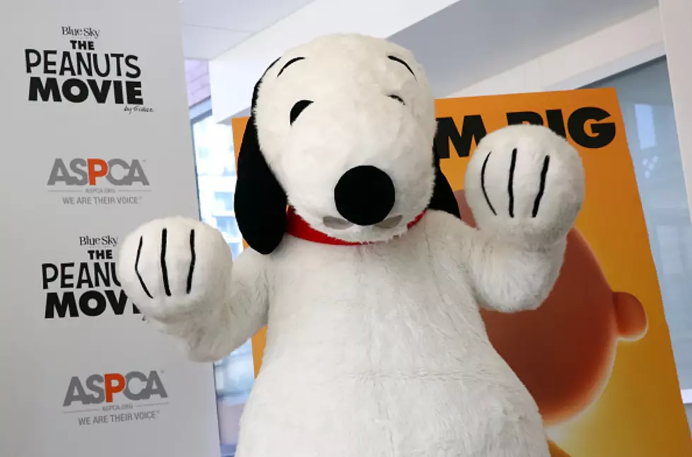 Snoopy Get A Hollywood Star