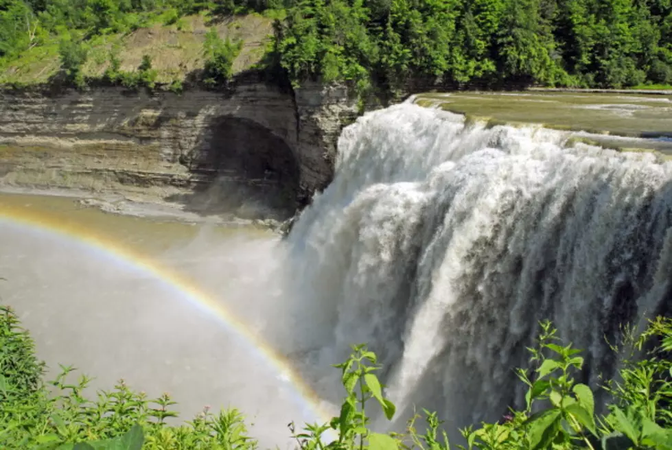 One Star Review for Letchworth State Park Picks on the Ridiculous!