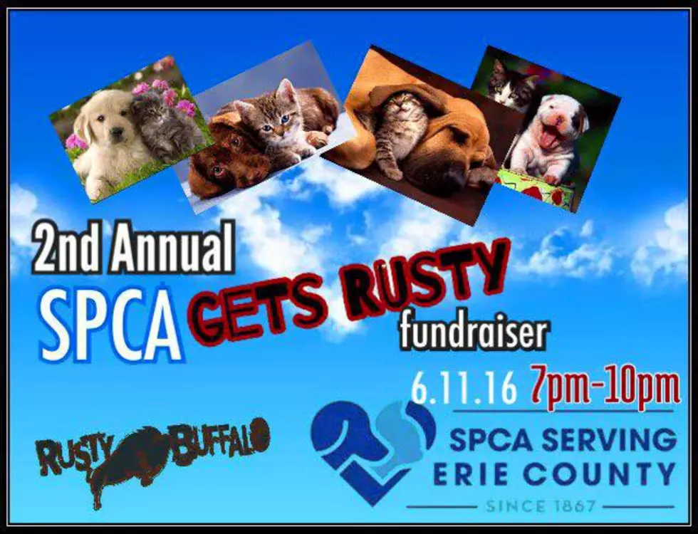 The New SPCA Location Will Be on Harlem Road in West Seneca