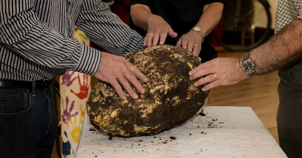 22-Pound, 2000-Year-Old Ball of Butter Found In Ireland! [PHOTO]
