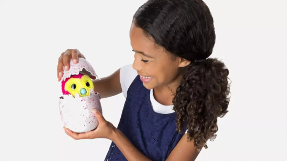 Hatchimals Are The HOTTEST Toy Of The 2016 Holiday Shopping Season