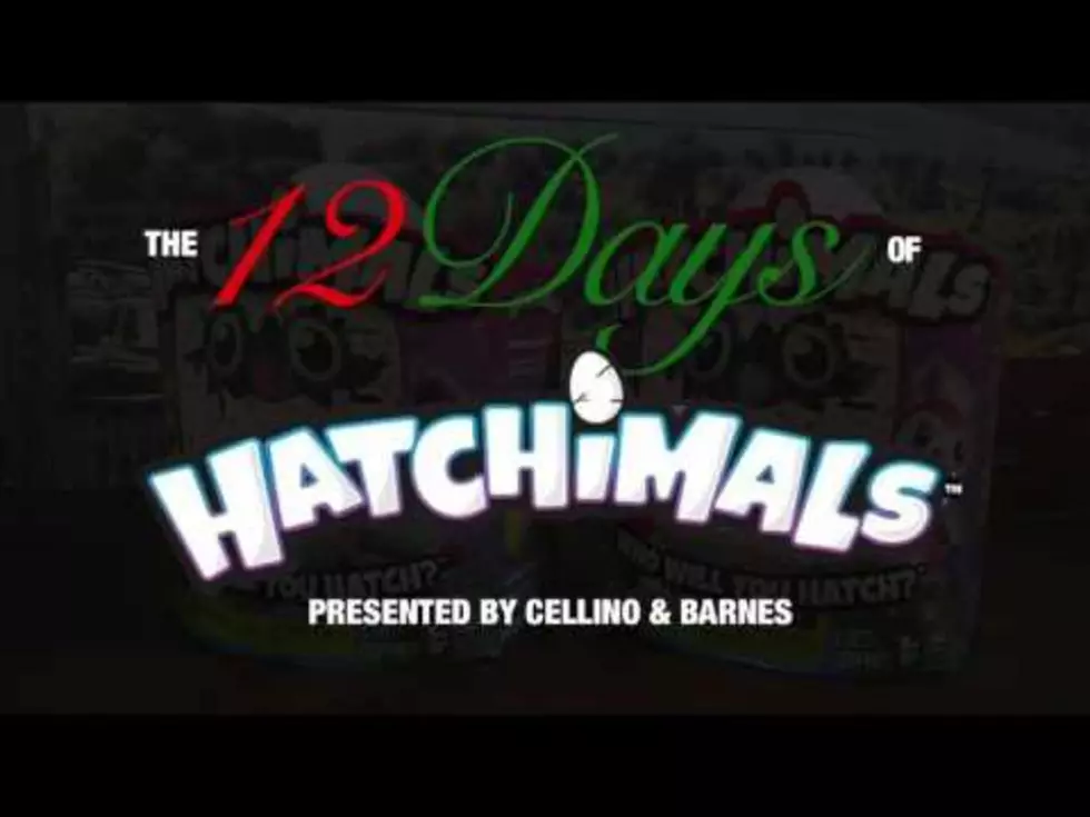 12 Days of Hatchimals Giveaway Location #3