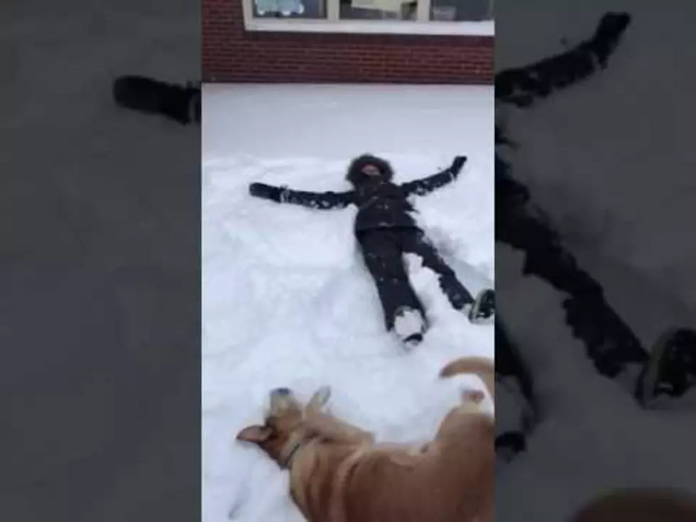 Owner and Dog Make Snow Angels