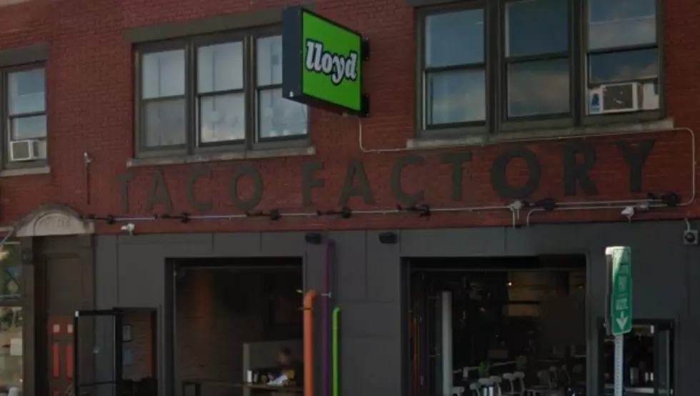 Lloyd Taco Opening Restaurant in Williamsville