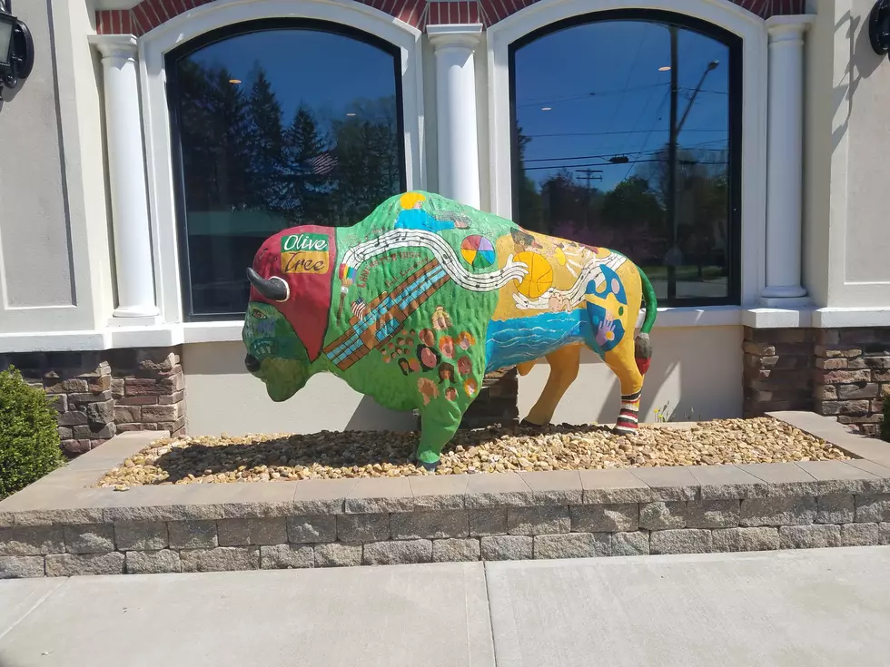 Ever Wonder Why There Are Those Creative Buffalo Statues? 