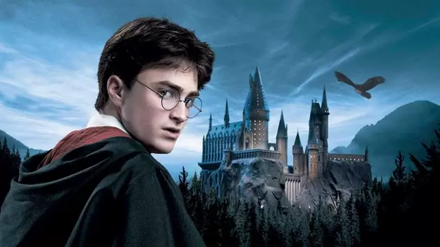 BUFFALO: The Quidditch Crawl Harry Potter Bar Crawl is This Weekend!