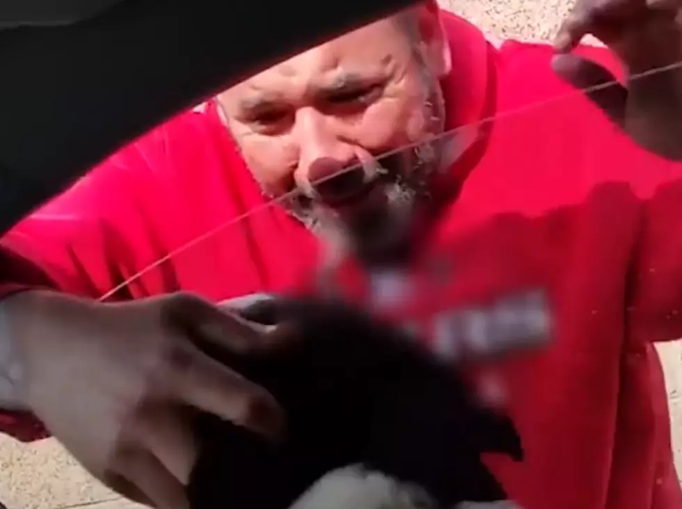 Man Finds His Dog After 2 Years--You're Going to Cry! 