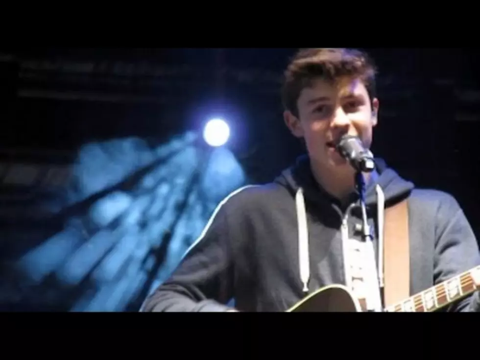Remember When Shawn Mendes Came To Darien Lake + Played Inside The Park?
