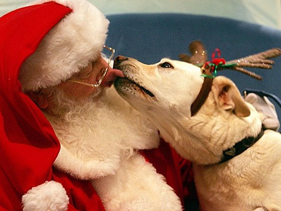 Where Can Your Dog + Cat Meet Santa Around Buffalo? [LIST]