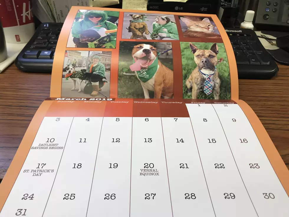 Buffalo Animal Shelter 2019 Calendar On Sale Now